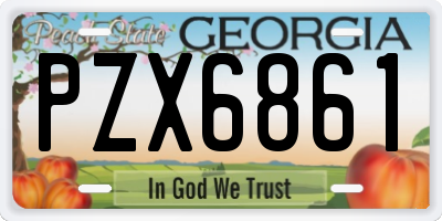GA license plate PZX6861