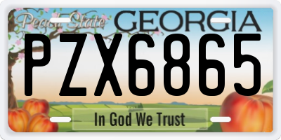 GA license plate PZX6865
