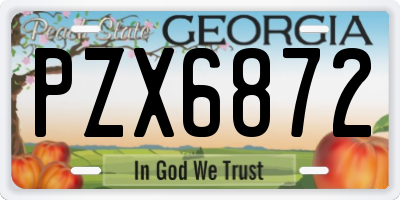 GA license plate PZX6872