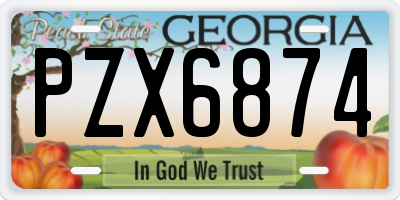 GA license plate PZX6874