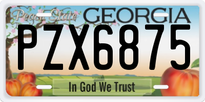 GA license plate PZX6875
