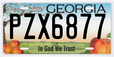GA license plate PZX6877