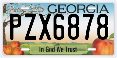 GA license plate PZX6878