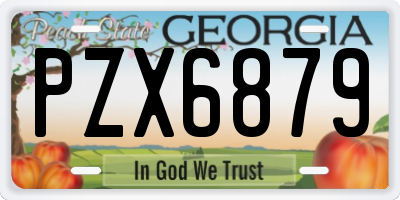 GA license plate PZX6879