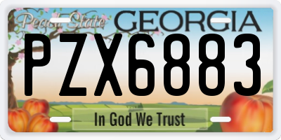 GA license plate PZX6883