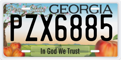 GA license plate PZX6885