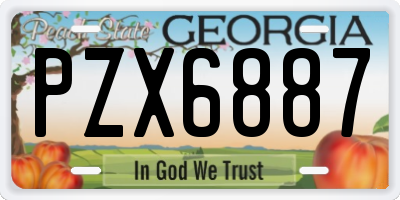 GA license plate PZX6887