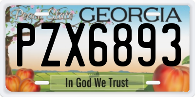GA license plate PZX6893