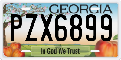 GA license plate PZX6899