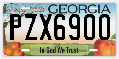 GA license plate PZX6900