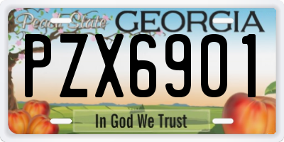 GA license plate PZX6901