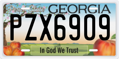 GA license plate PZX6909