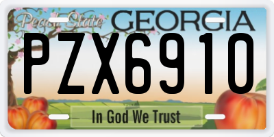 GA license plate PZX6910