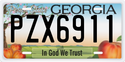GA license plate PZX6911