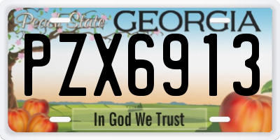 GA license plate PZX6913