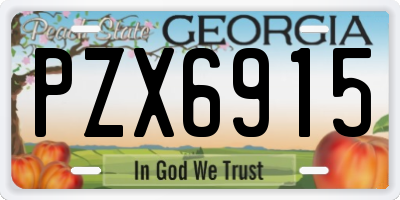GA license plate PZX6915