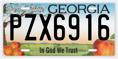 GA license plate PZX6916