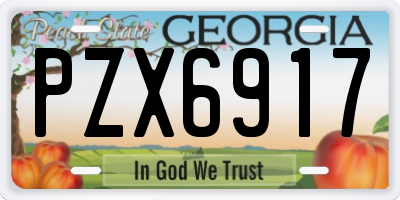 GA license plate PZX6917