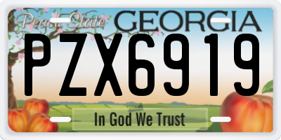 GA license plate PZX6919