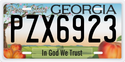 GA license plate PZX6923