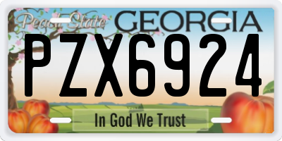 GA license plate PZX6924