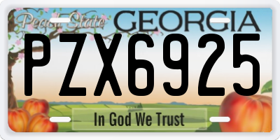 GA license plate PZX6925