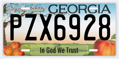 GA license plate PZX6928