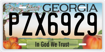 GA license plate PZX6929