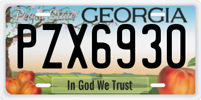 GA license plate PZX6930