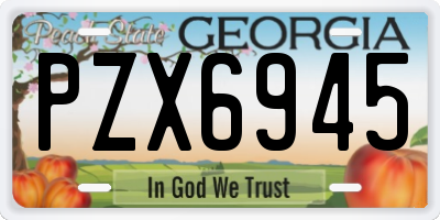 GA license plate PZX6945