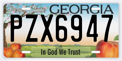 GA license plate PZX6947