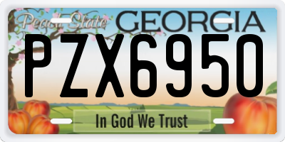 GA license plate PZX6950