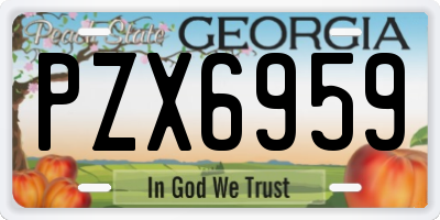 GA license plate PZX6959