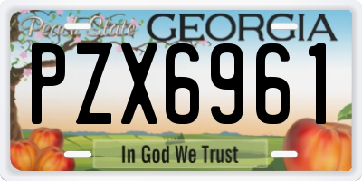 GA license plate PZX6961