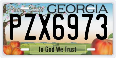 GA license plate PZX6973