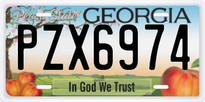 GA license plate PZX6974