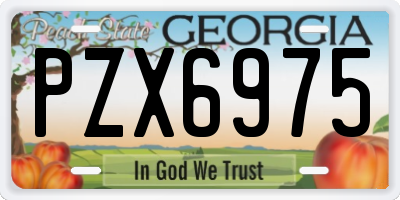 GA license plate PZX6975