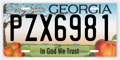 GA license plate PZX6981