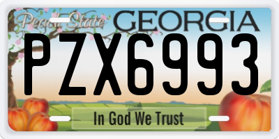 GA license plate PZX6993