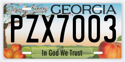 GA license plate PZX7003
