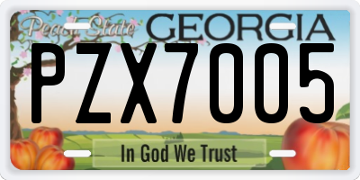 GA license plate PZX7005