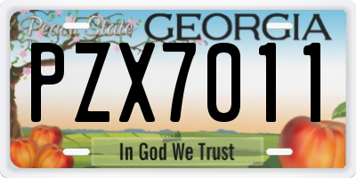 GA license plate PZX7011