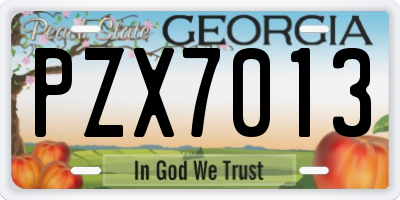 GA license plate PZX7013