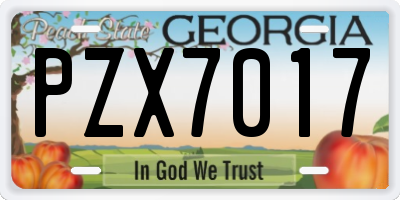 GA license plate PZX7017