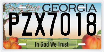 GA license plate PZX7018