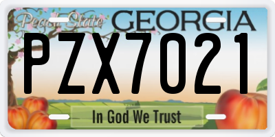 GA license plate PZX7021