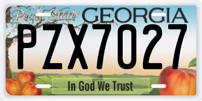 GA license plate PZX7027