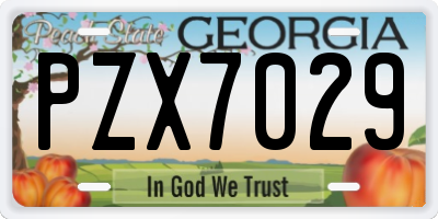 GA license plate PZX7029