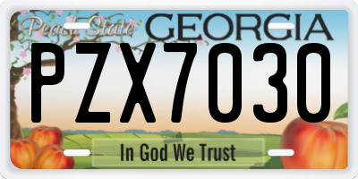 GA license plate PZX7030