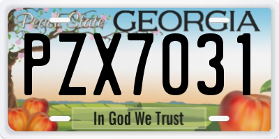 GA license plate PZX7031